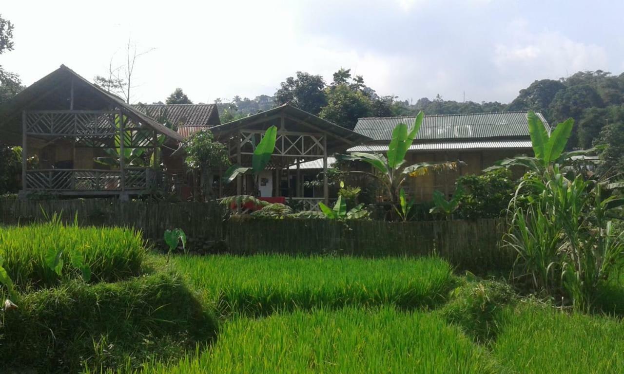 De Salak Homestay Bogor Exterior foto