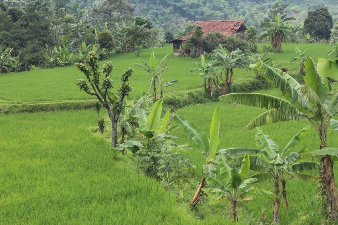 De Salak Homestay Bogor Exterior foto